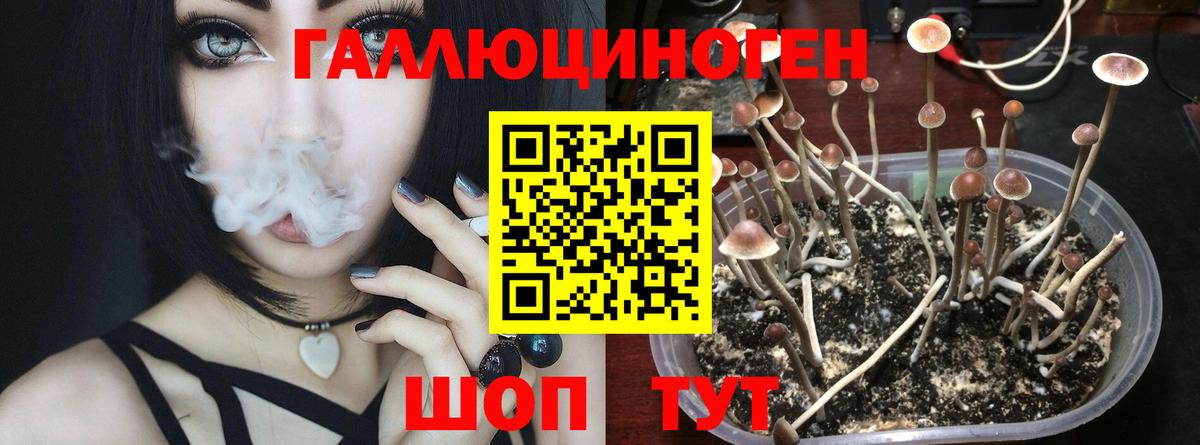 Комсомольск-на-Амуре  Псилоцибиновые грибы прущие грибы  Вход с VPN 